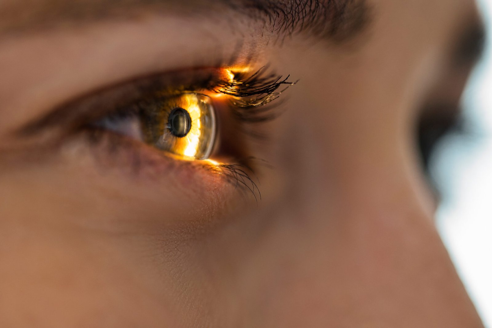 pole-ophtalmologie-colombes-la-defense oeil en gros plan avec un faisceau lumineux brille à travers la rétine et la lentille lors de la recherche de maladies oculaires